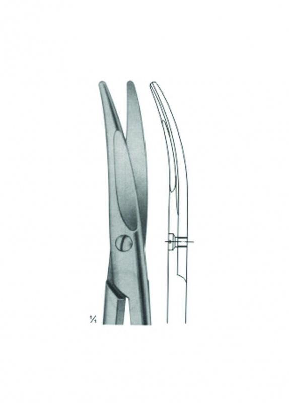 Dissecting Scissors